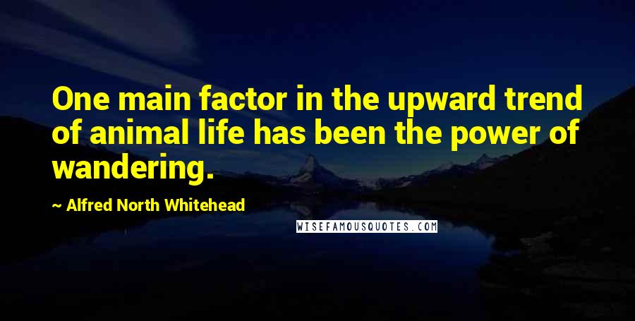 Alfred North Whitehead Quotes: One main factor in the upward trend of animal life has been the power of wandering.