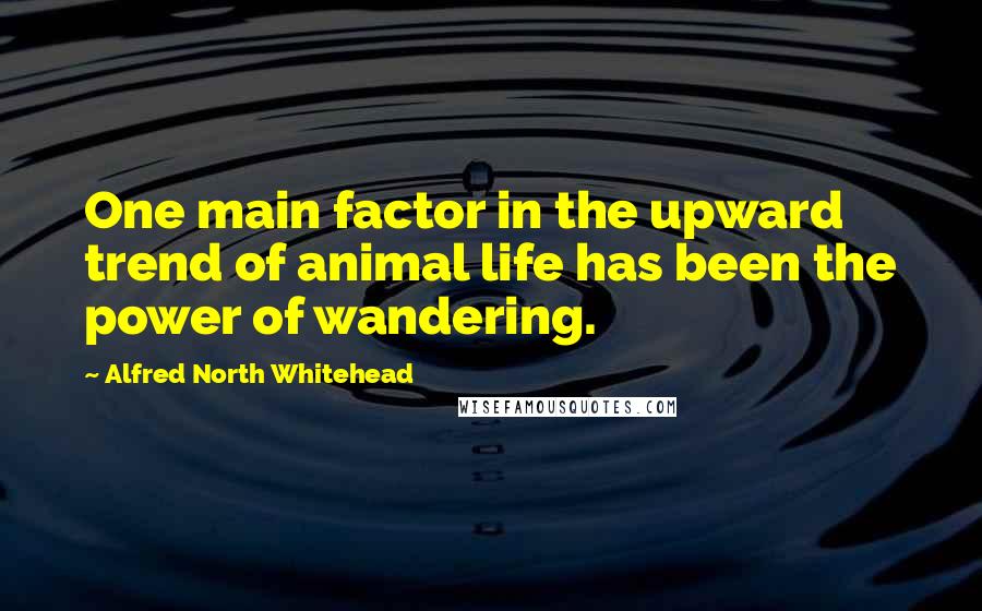 Alfred North Whitehead Quotes: One main factor in the upward trend of animal life has been the power of wandering.