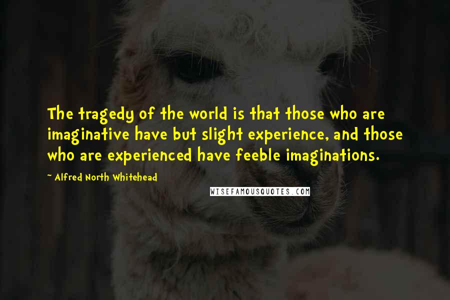 Alfred North Whitehead Quotes: The tragedy of the world is that those who are imaginative have but slight experience, and those who are experienced have feeble imaginations.