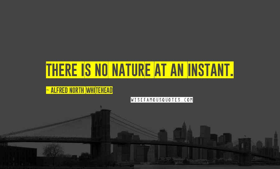 Alfred North Whitehead Quotes: There is no nature at an instant.