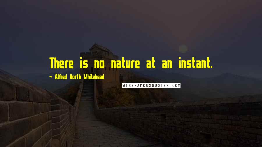 Alfred North Whitehead Quotes: There is no nature at an instant.