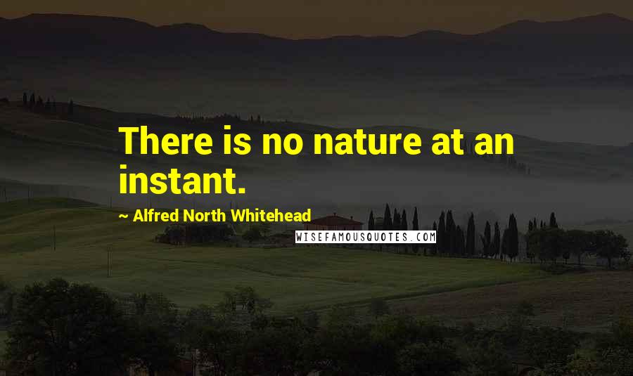Alfred North Whitehead Quotes: There is no nature at an instant.