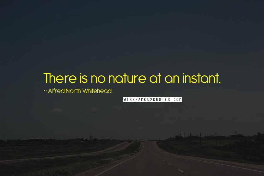 Alfred North Whitehead Quotes: There is no nature at an instant.