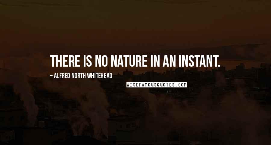 Alfred North Whitehead Quotes: There is no nature in an instant.