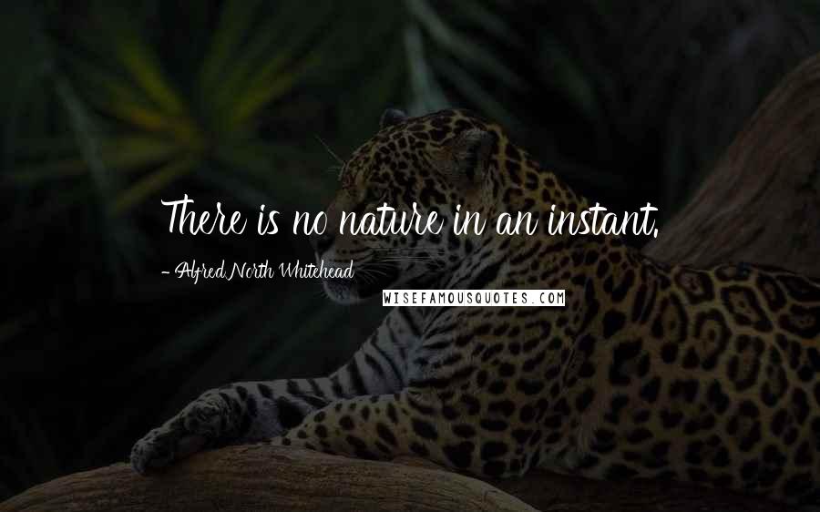Alfred North Whitehead Quotes: There is no nature in an instant.