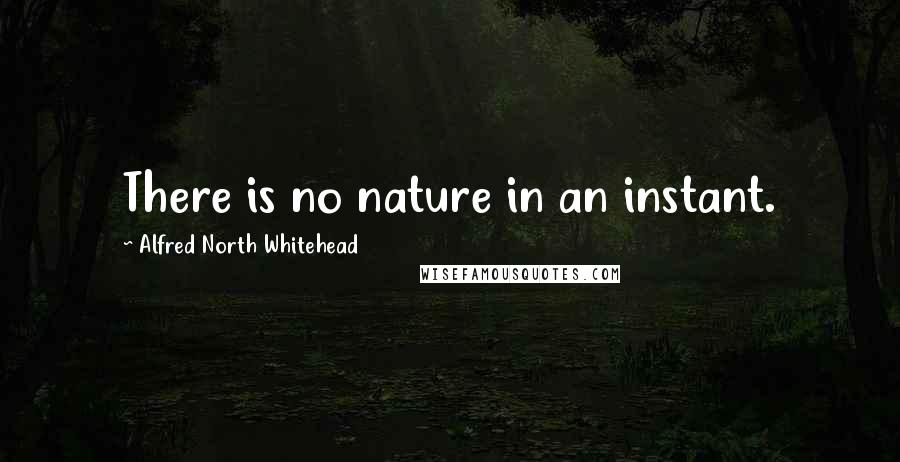 Alfred North Whitehead Quotes: There is no nature in an instant.