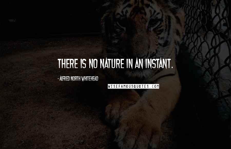 Alfred North Whitehead Quotes: There is no nature in an instant.