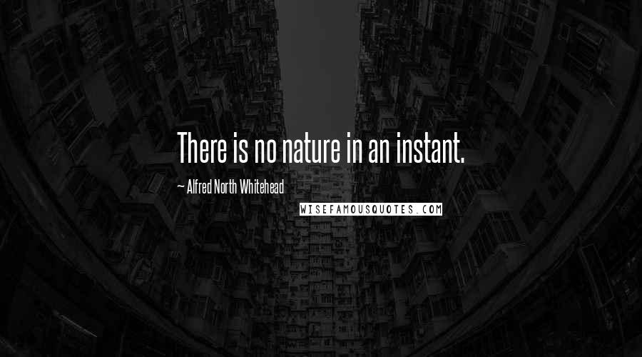 Alfred North Whitehead Quotes: There is no nature in an instant.