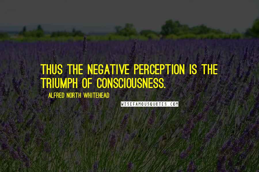 Alfred North Whitehead Quotes: Thus the negative perception is the triumph of consciousness.