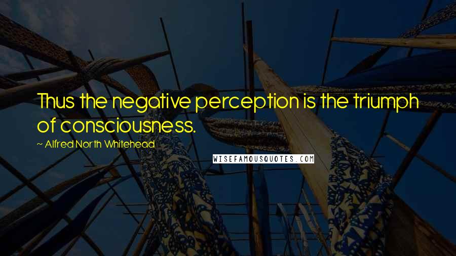 Alfred North Whitehead Quotes: Thus the negative perception is the triumph of consciousness.