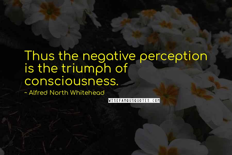 Alfred North Whitehead Quotes: Thus the negative perception is the triumph of consciousness.