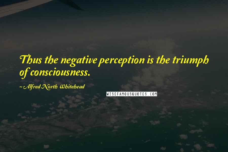 Alfred North Whitehead Quotes: Thus the negative perception is the triumph of consciousness.
