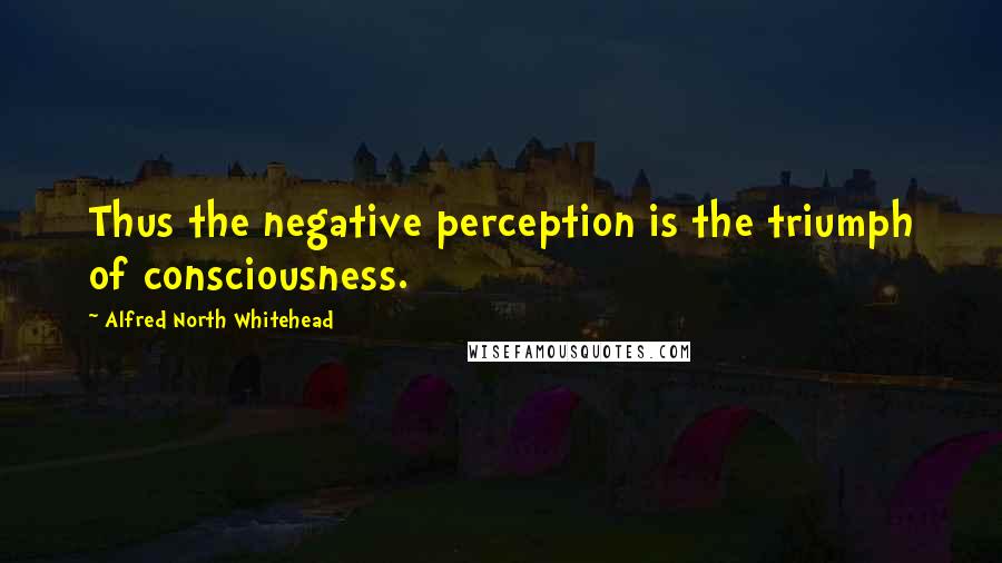 Alfred North Whitehead Quotes: Thus the negative perception is the triumph of consciousness.