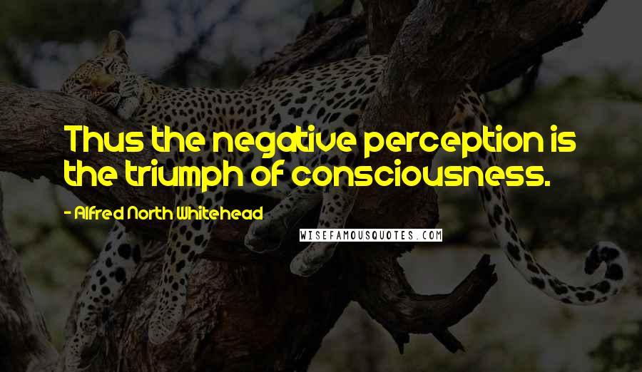 Alfred North Whitehead Quotes: Thus the negative perception is the triumph of consciousness.