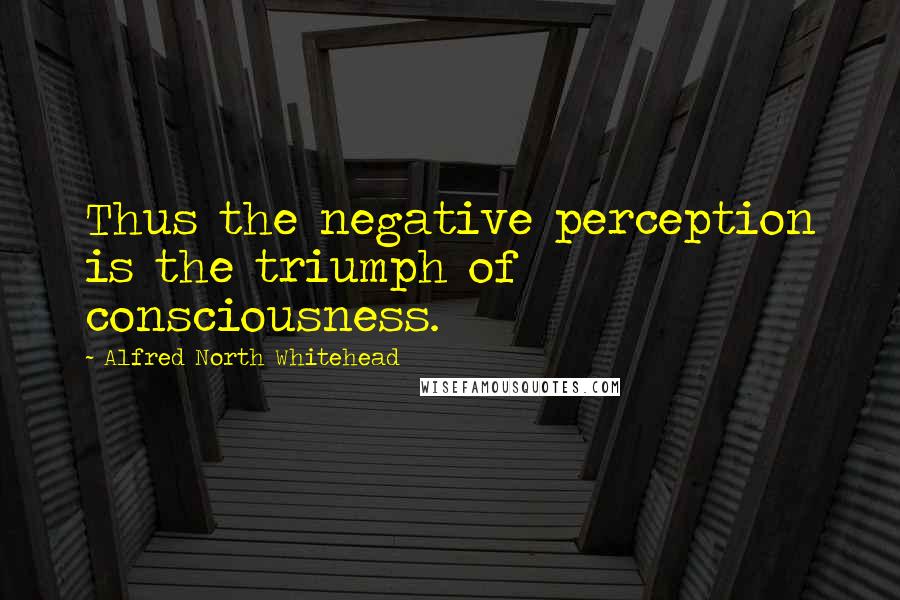 Alfred North Whitehead Quotes: Thus the negative perception is the triumph of consciousness.