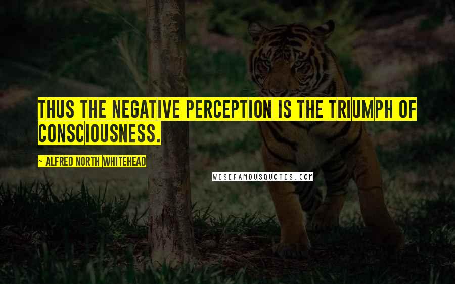Alfred North Whitehead Quotes: Thus the negative perception is the triumph of consciousness.
