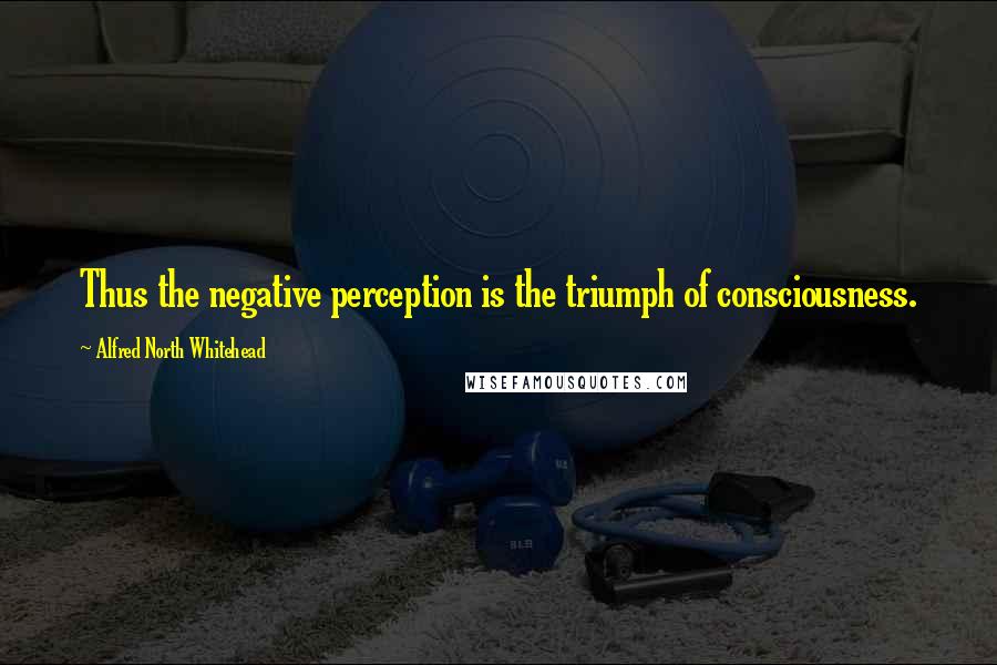 Alfred North Whitehead Quotes: Thus the negative perception is the triumph of consciousness.