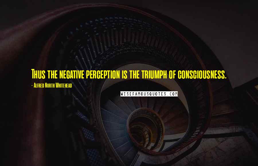 Alfred North Whitehead Quotes: Thus the negative perception is the triumph of consciousness.