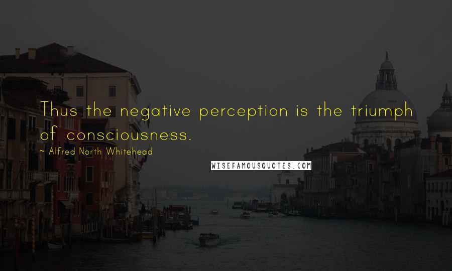 Alfred North Whitehead Quotes: Thus the negative perception is the triumph of consciousness.