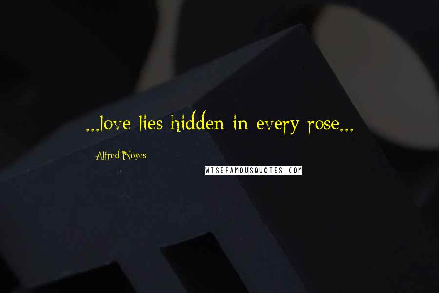 Alfred Noyes Quotes: ...love lies hidden in every rose...