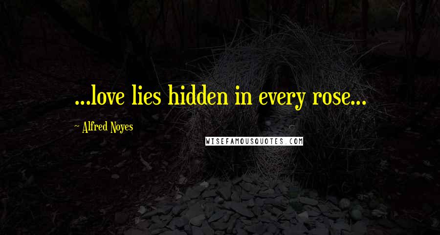 Alfred Noyes Quotes: ...love lies hidden in every rose...