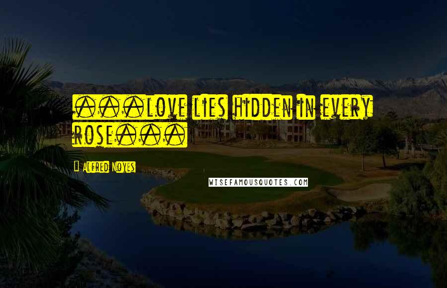 Alfred Noyes Quotes: ...love lies hidden in every rose...
