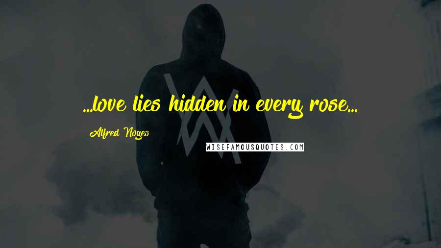 Alfred Noyes Quotes: ...love lies hidden in every rose...