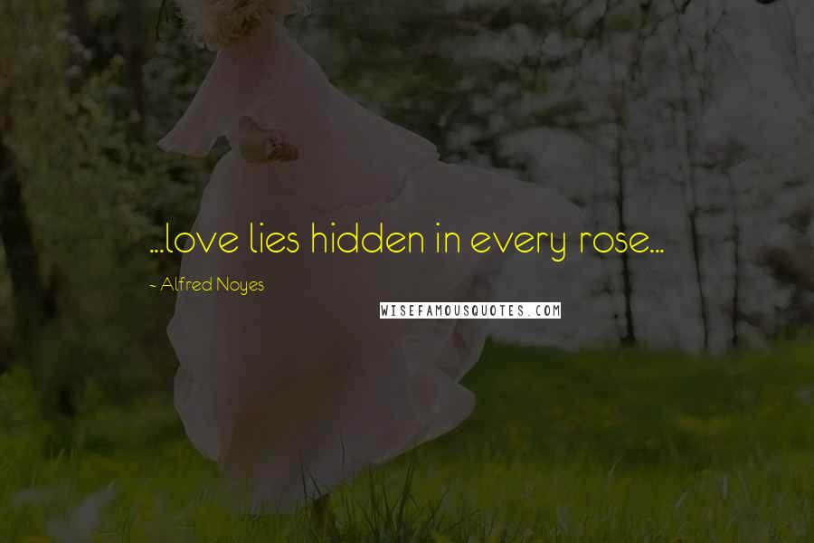 Alfred Noyes Quotes: ...love lies hidden in every rose...