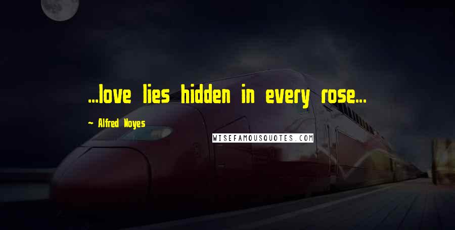 Alfred Noyes Quotes: ...love lies hidden in every rose...