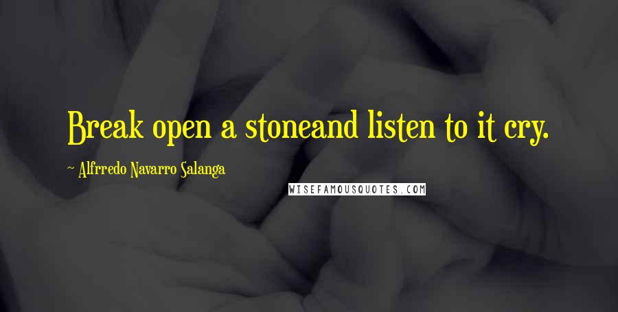 Alfrredo Navarro Salanga Quotes: Break open a stoneand listen to it cry.