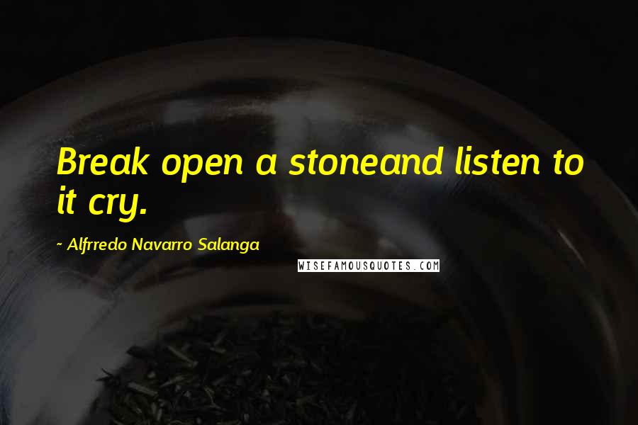 Alfrredo Navarro Salanga Quotes: Break open a stoneand listen to it cry.