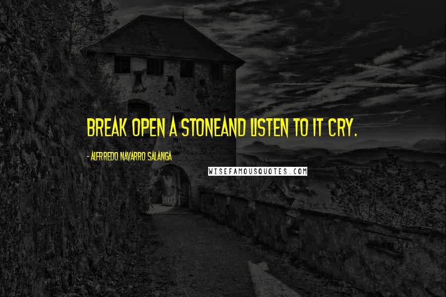 Alfrredo Navarro Salanga Quotes: Break open a stoneand listen to it cry.