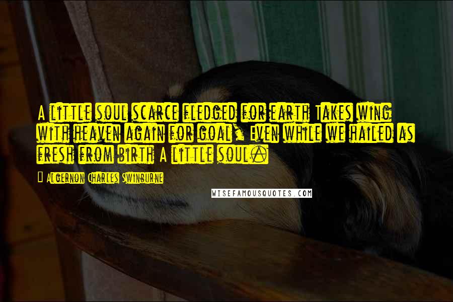 Algernon Charles Swinburne Quotes: A little soul scarce fledged for earth Takes wing with heaven again for goal, Even while we hailed as fresh from birth A little soul.