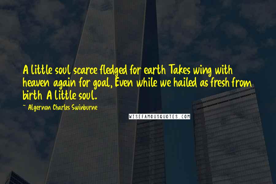 Algernon Charles Swinburne Quotes: A little soul scarce fledged for earth Takes wing with heaven again for goal, Even while we hailed as fresh from birth A little soul.