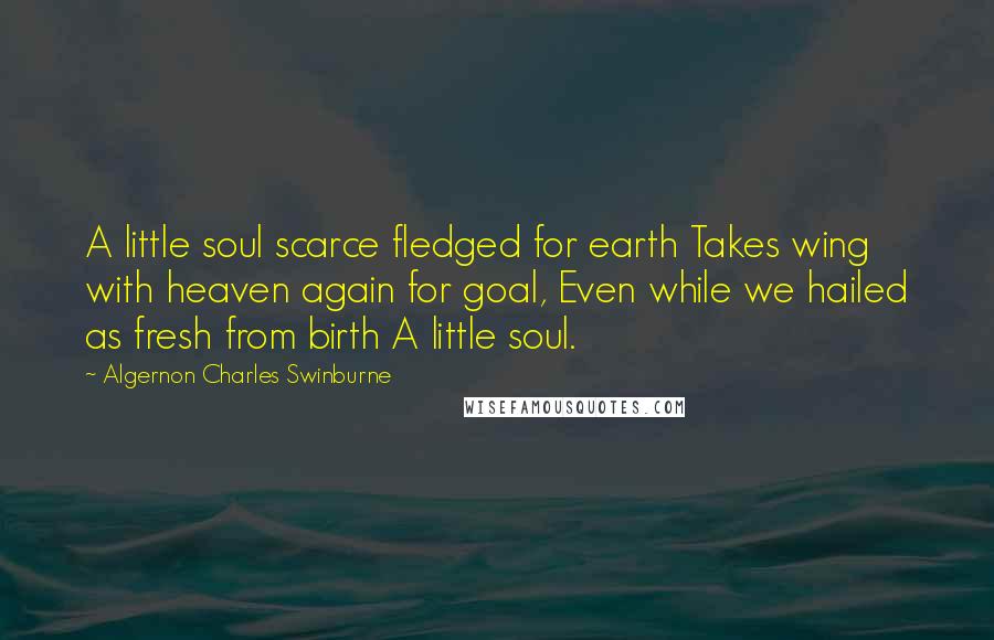 Algernon Charles Swinburne Quotes: A little soul scarce fledged for earth Takes wing with heaven again for goal, Even while we hailed as fresh from birth A little soul.