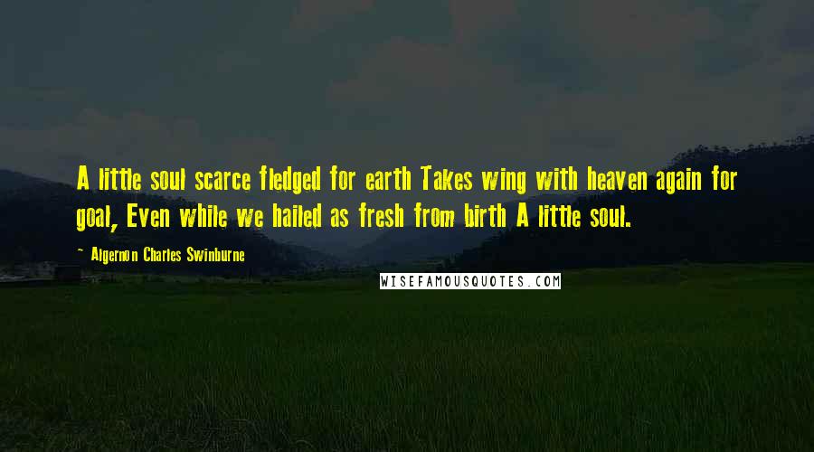 Algernon Charles Swinburne Quotes: A little soul scarce fledged for earth Takes wing with heaven again for goal, Even while we hailed as fresh from birth A little soul.