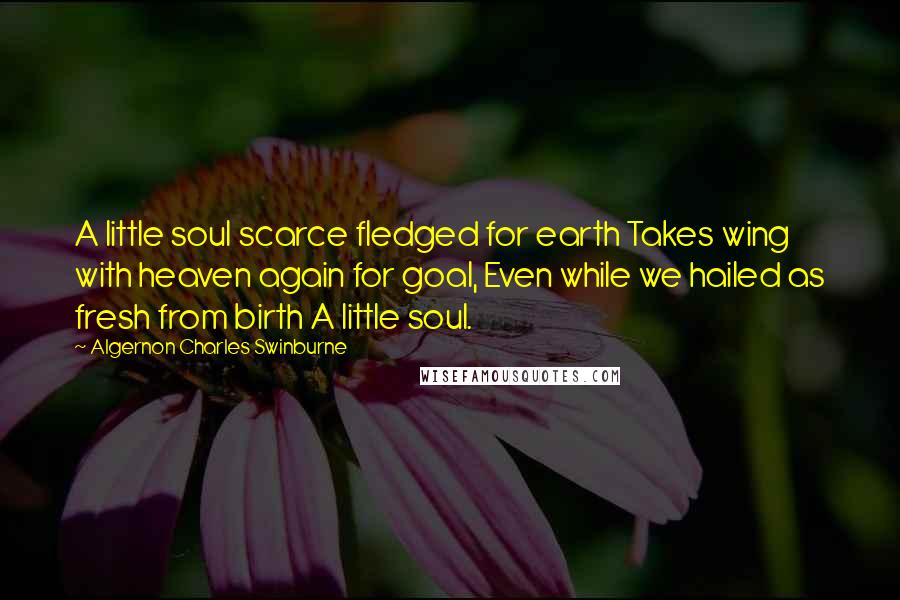 Algernon Charles Swinburne Quotes: A little soul scarce fledged for earth Takes wing with heaven again for goal, Even while we hailed as fresh from birth A little soul.