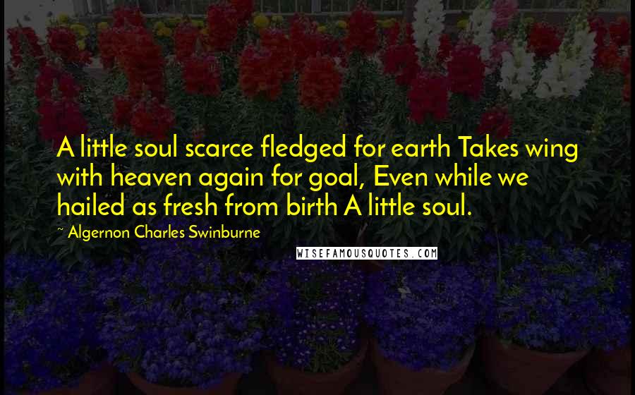 Algernon Charles Swinburne Quotes: A little soul scarce fledged for earth Takes wing with heaven again for goal, Even while we hailed as fresh from birth A little soul.