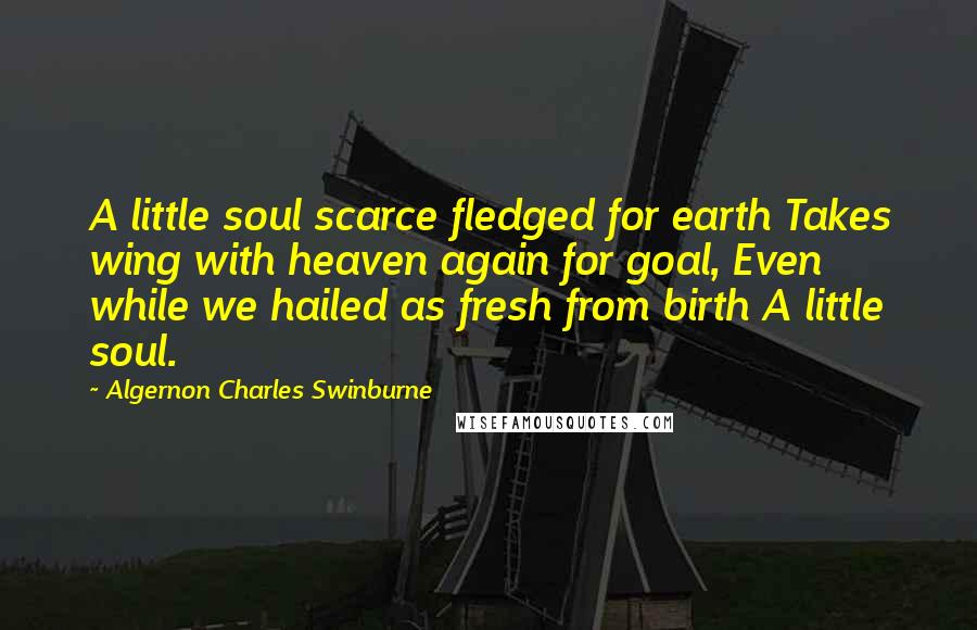 Algernon Charles Swinburne Quotes: A little soul scarce fledged for earth Takes wing with heaven again for goal, Even while we hailed as fresh from birth A little soul.