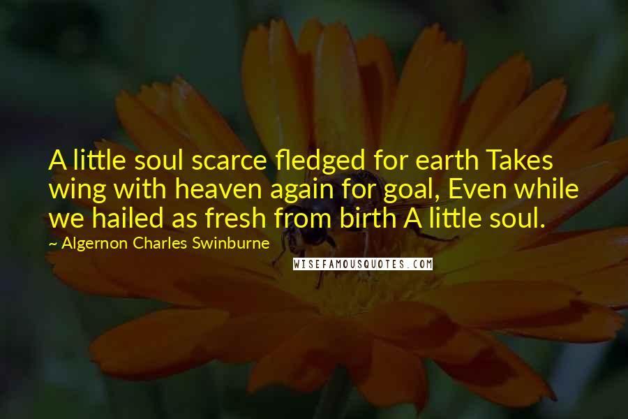 Algernon Charles Swinburne Quotes: A little soul scarce fledged for earth Takes wing with heaven again for goal, Even while we hailed as fresh from birth A little soul.