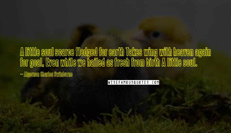 Algernon Charles Swinburne Quotes: A little soul scarce fledged for earth Takes wing with heaven again for goal, Even while we hailed as fresh from birth A little soul.