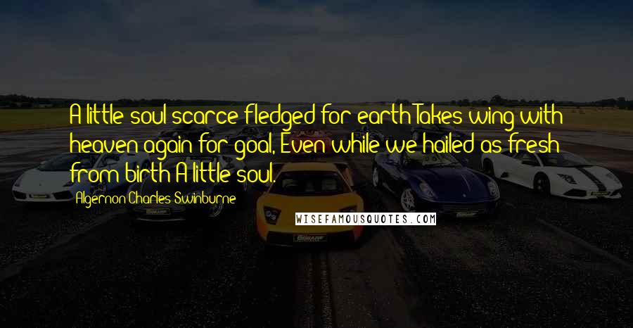 Algernon Charles Swinburne Quotes: A little soul scarce fledged for earth Takes wing with heaven again for goal, Even while we hailed as fresh from birth A little soul.