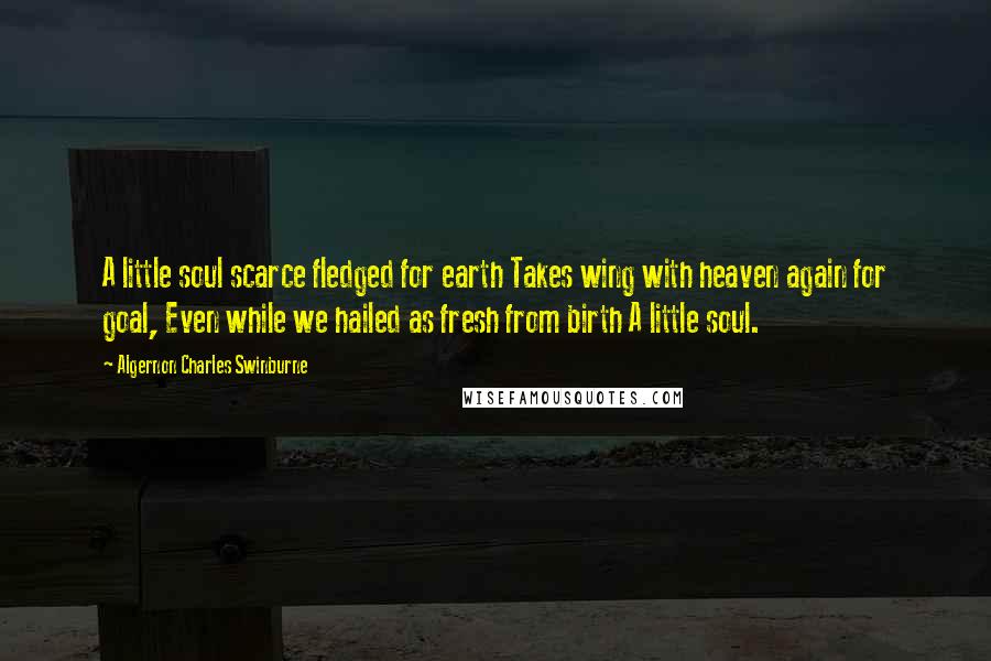 Algernon Charles Swinburne Quotes: A little soul scarce fledged for earth Takes wing with heaven again for goal, Even while we hailed as fresh from birth A little soul.