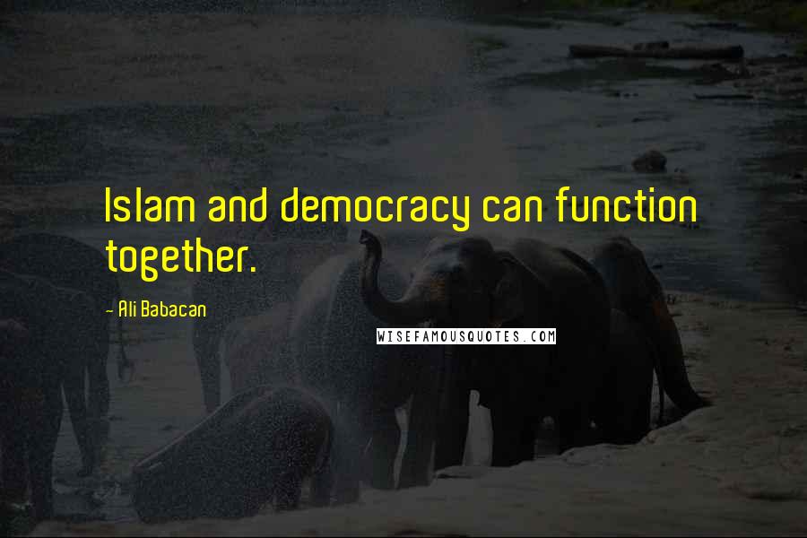 Ali Babacan Quotes: Islam and democracy can function together.