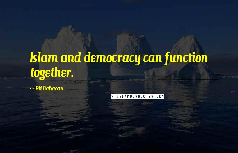 Ali Babacan Quotes: Islam and democracy can function together.