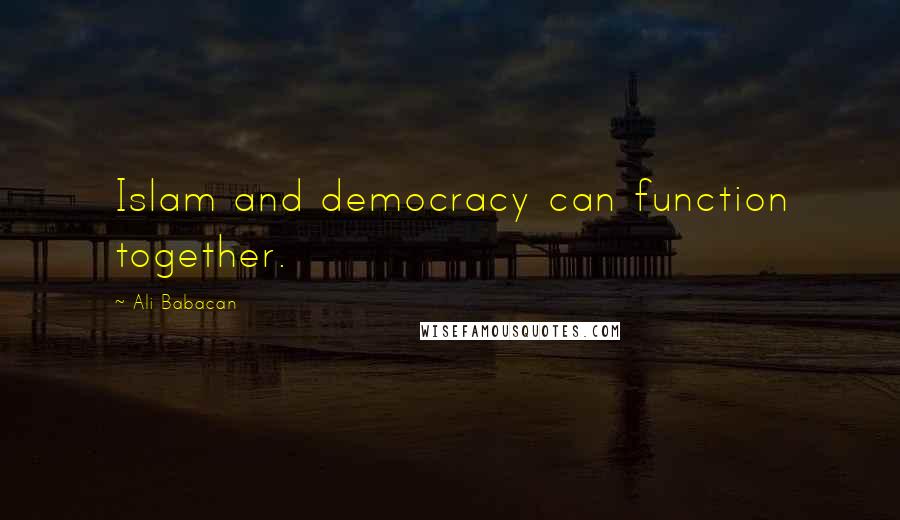 Ali Babacan Quotes: Islam and democracy can function together.