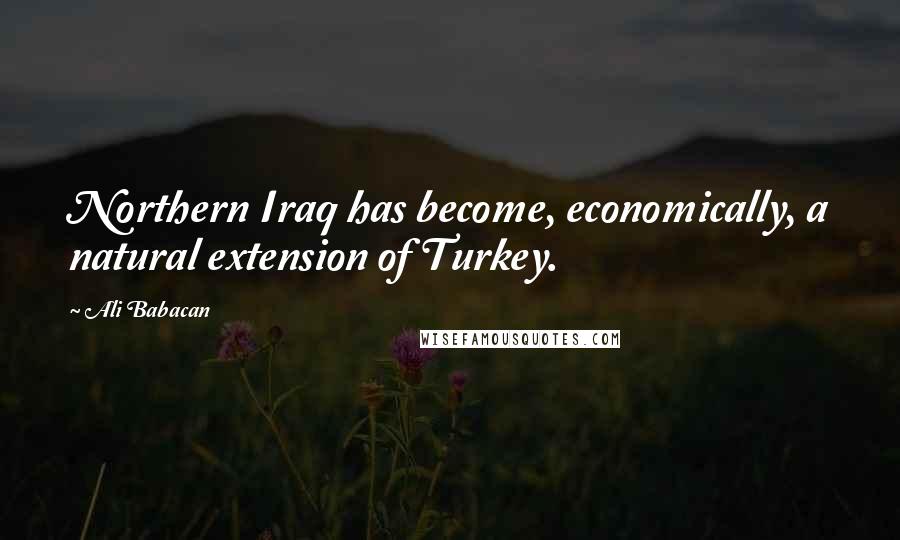 Ali Babacan Quotes: Northern Iraq has become, economically, a natural extension of Turkey.