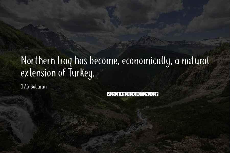 Ali Babacan Quotes: Northern Iraq has become, economically, a natural extension of Turkey.