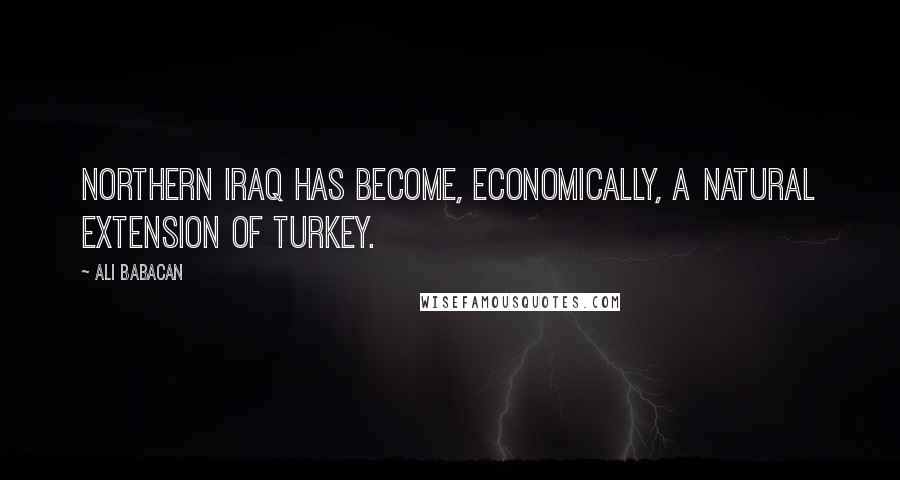 Ali Babacan Quotes: Northern Iraq has become, economically, a natural extension of Turkey.