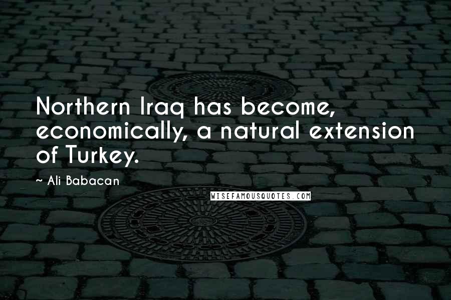 Ali Babacan Quotes: Northern Iraq has become, economically, a natural extension of Turkey.